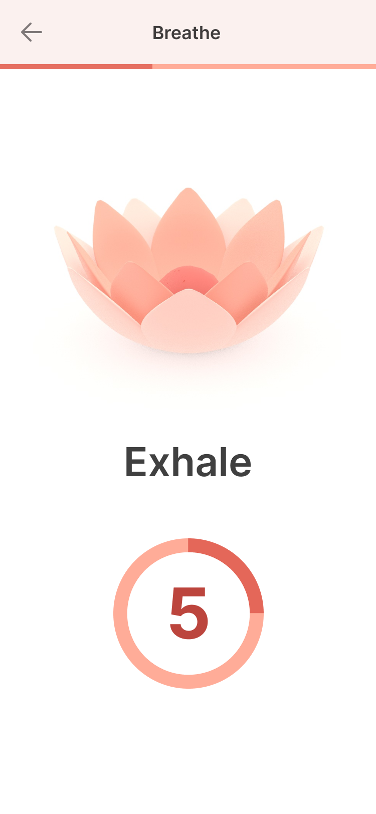Breathe exercise interface