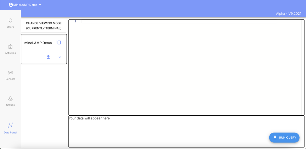 Terminal mode with code editor and Run Query button