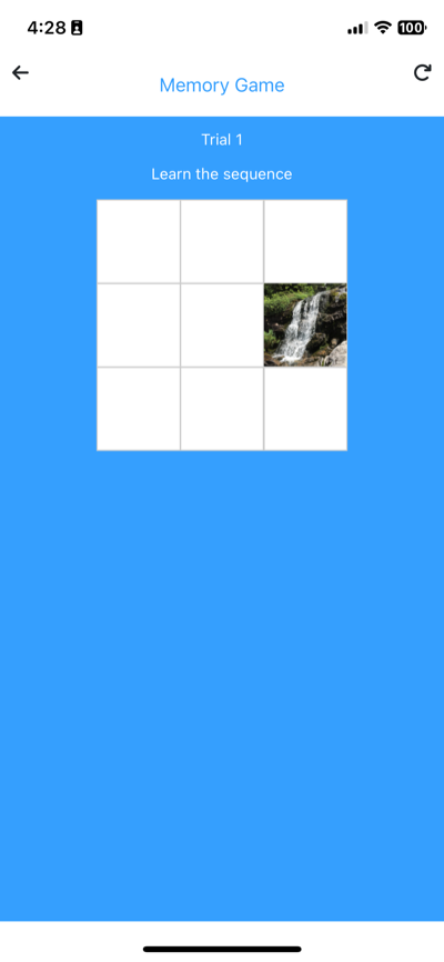 Memory Game sequence shown