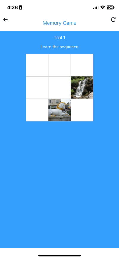 Memory Game recall phase