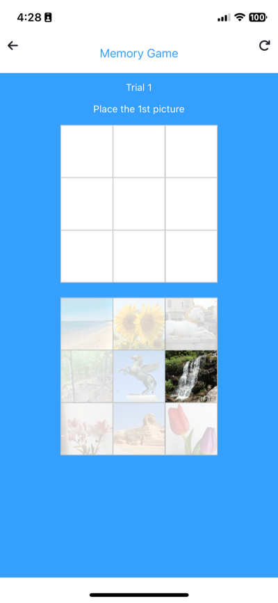 Memory Game delayed recall