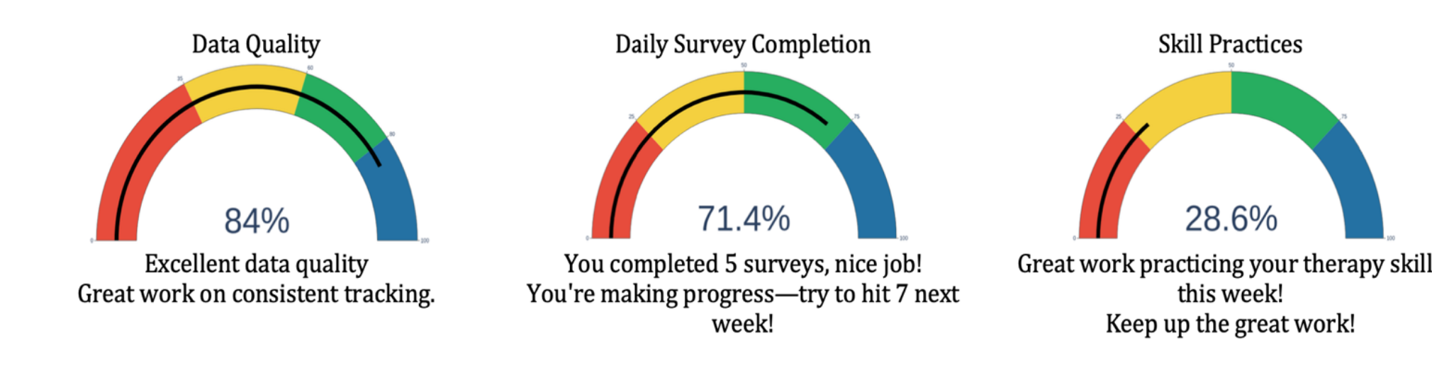 Data Quality, Survey Completion, and Skill Practices gauges